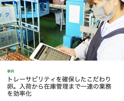 analogue to digital marufuku