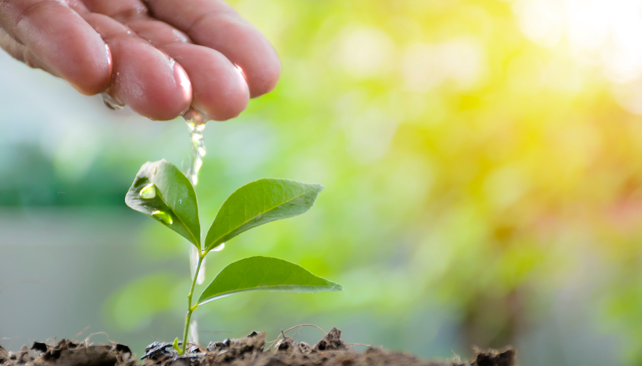 the power to change the uncommon growth