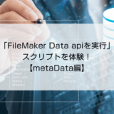 「FileMaker Data apiを実行」スクリプトを体験！【metaData編】